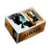 harry potter panini